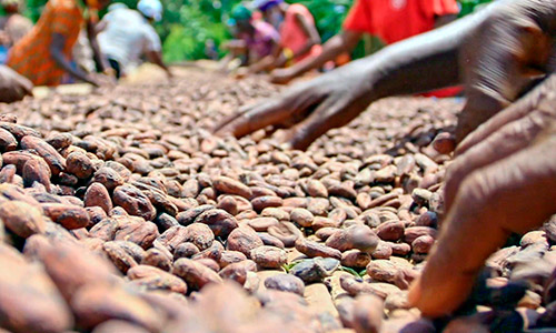 ESSELUNGA RACCONTA IL PROGETTO “CACAO SOSTENIBILE” CON UN VIDEO PRODOTTO DA BBC STORYWORKS