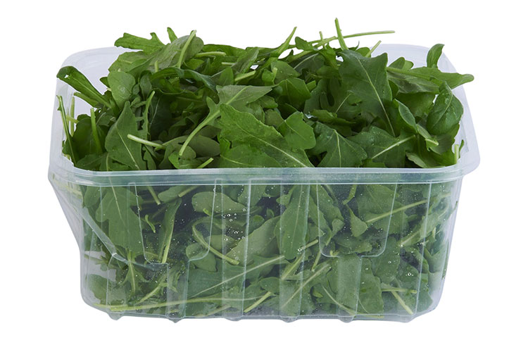 Rucola