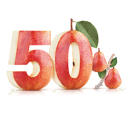 Grandi Marche al 50%