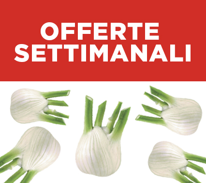 Offerte Settimanali Superfresche